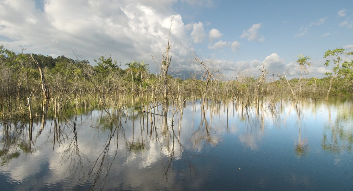 Quale futuro per l’Amazzonia con Jair Bolsonaro presidente del Brasile