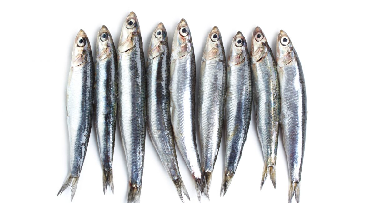 Mangiare pesce senza rischi
