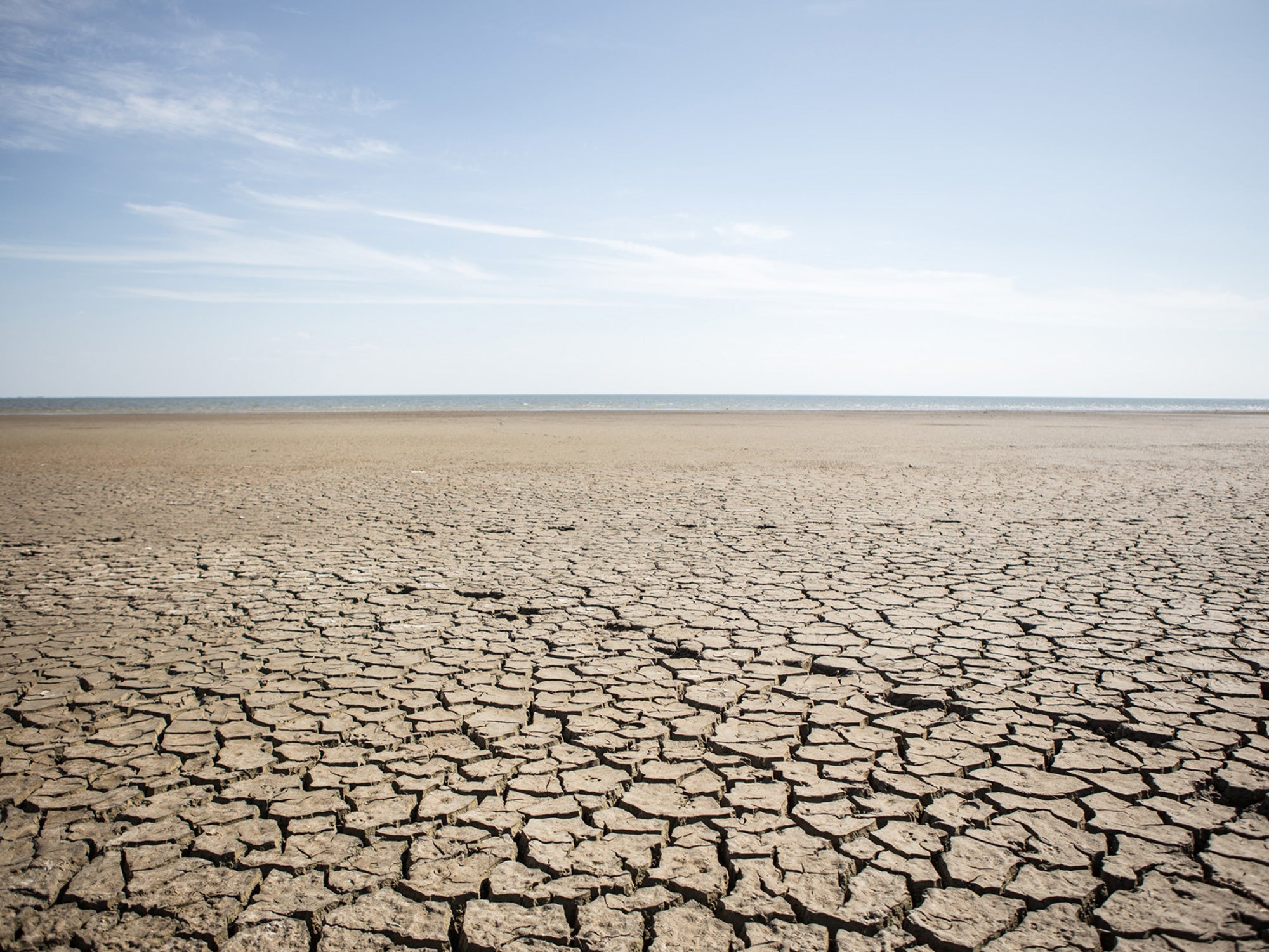 Segnatevi l’espressione water grabbing