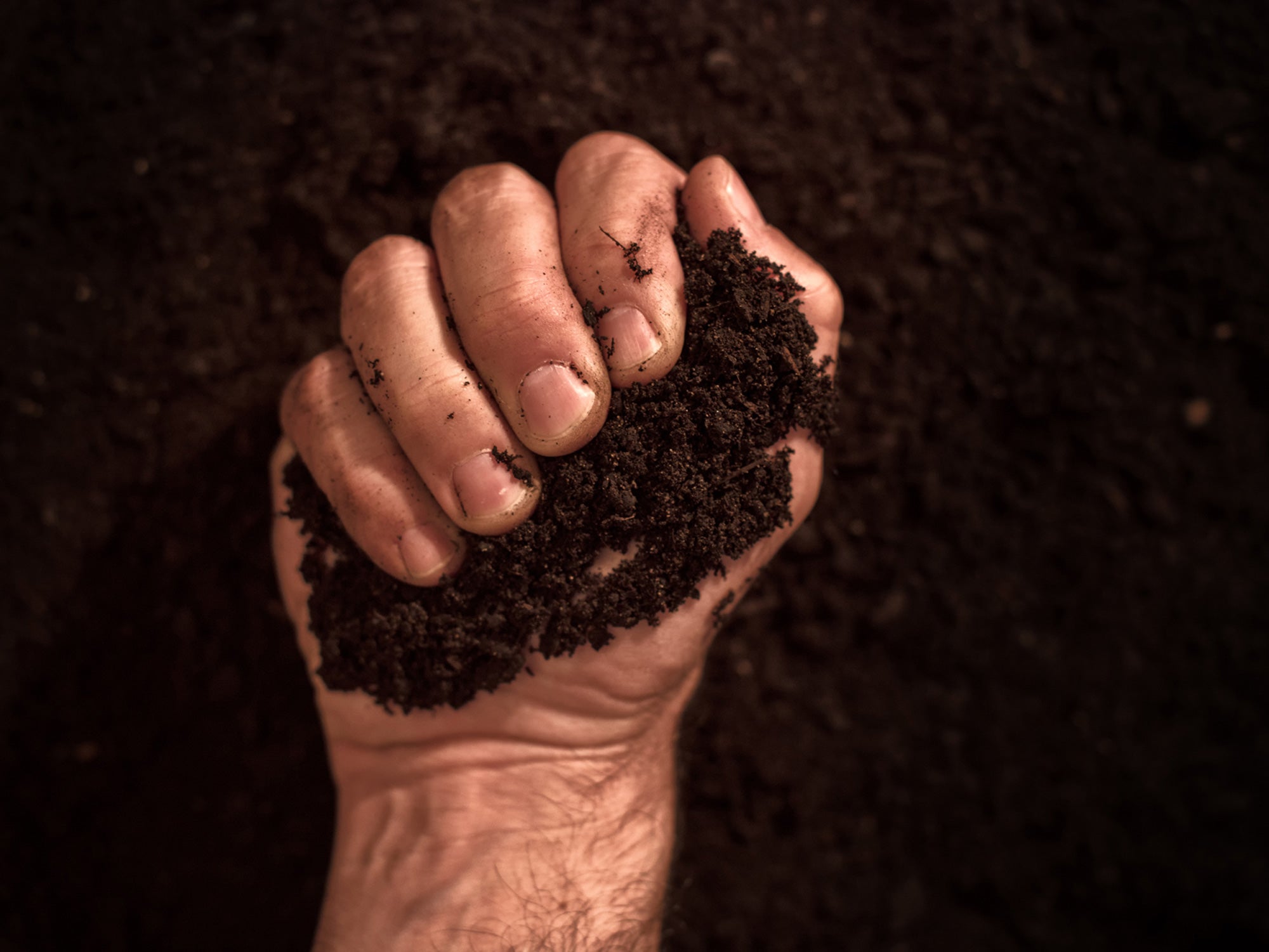Sul land grabbing, c’è fame di consapevolezza