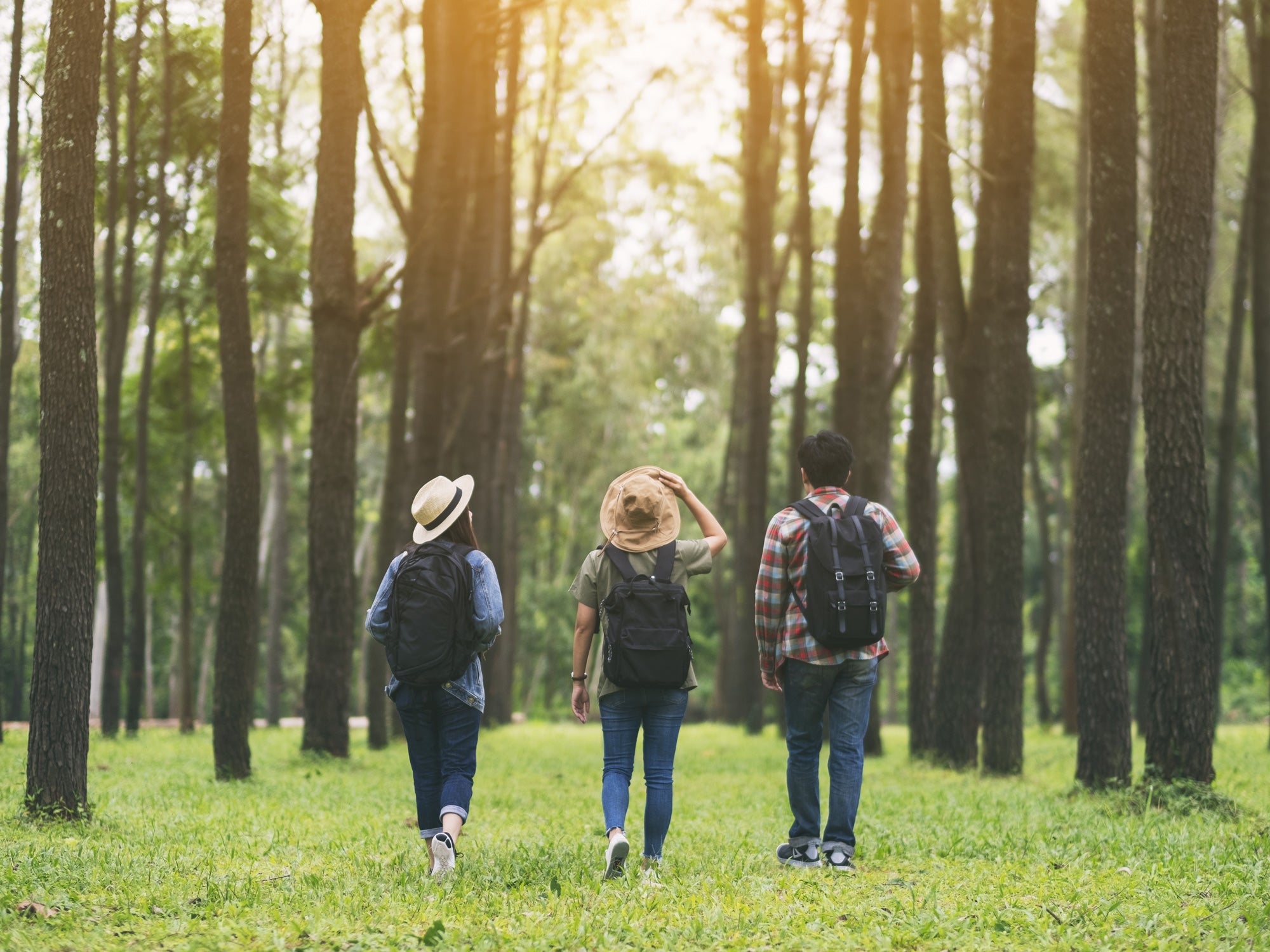 Camminare nella natura è diventato di moda: consigli per farlo bene