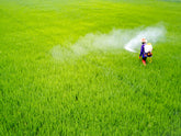 In Europa il 30% dei pesticidi viene riautorizzato senza nuove valutazioni sui rischi