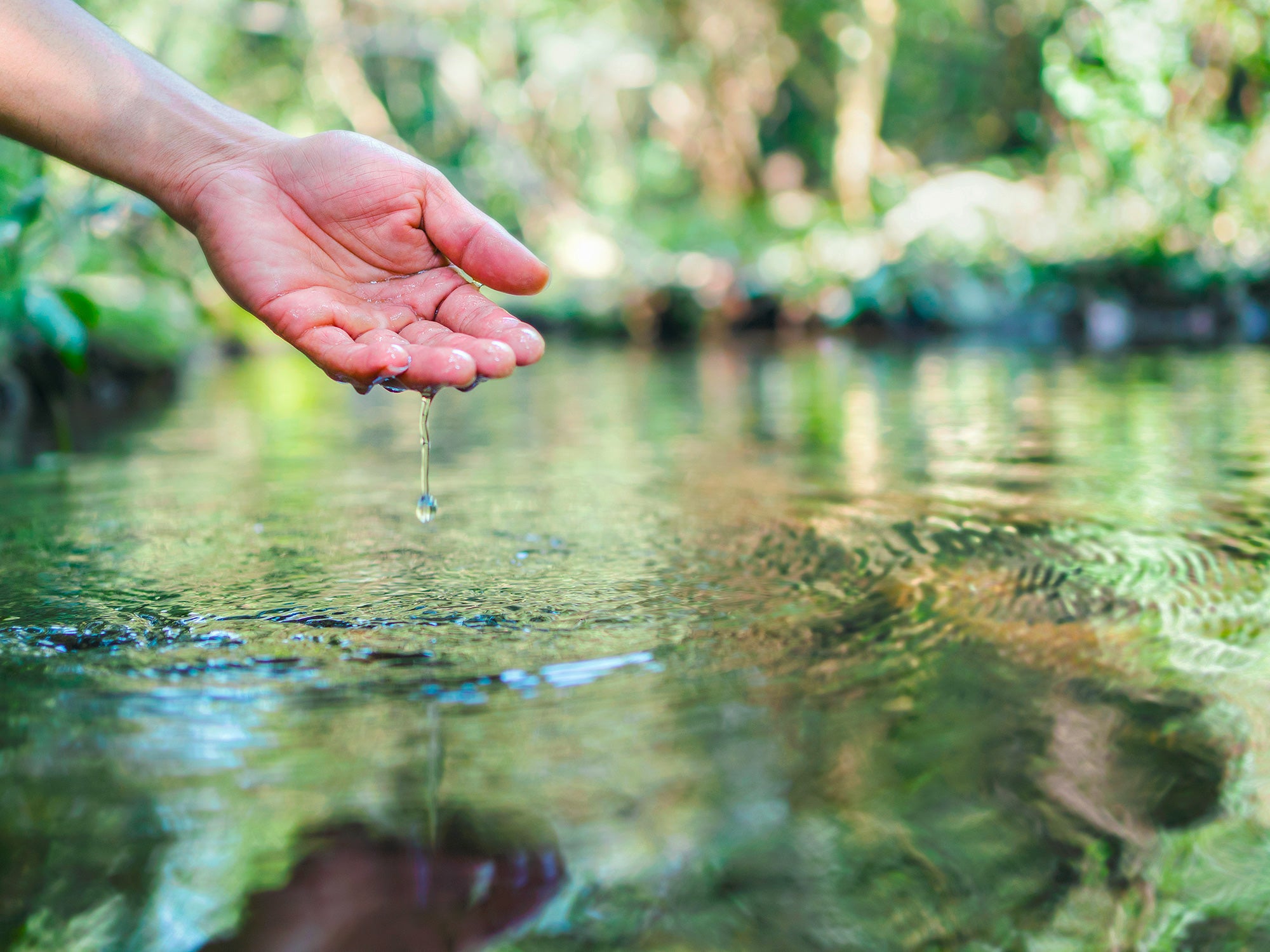 L’impronta idrica degli alimenti e lo spreco: quanto è diventata preziosa l’acqua
