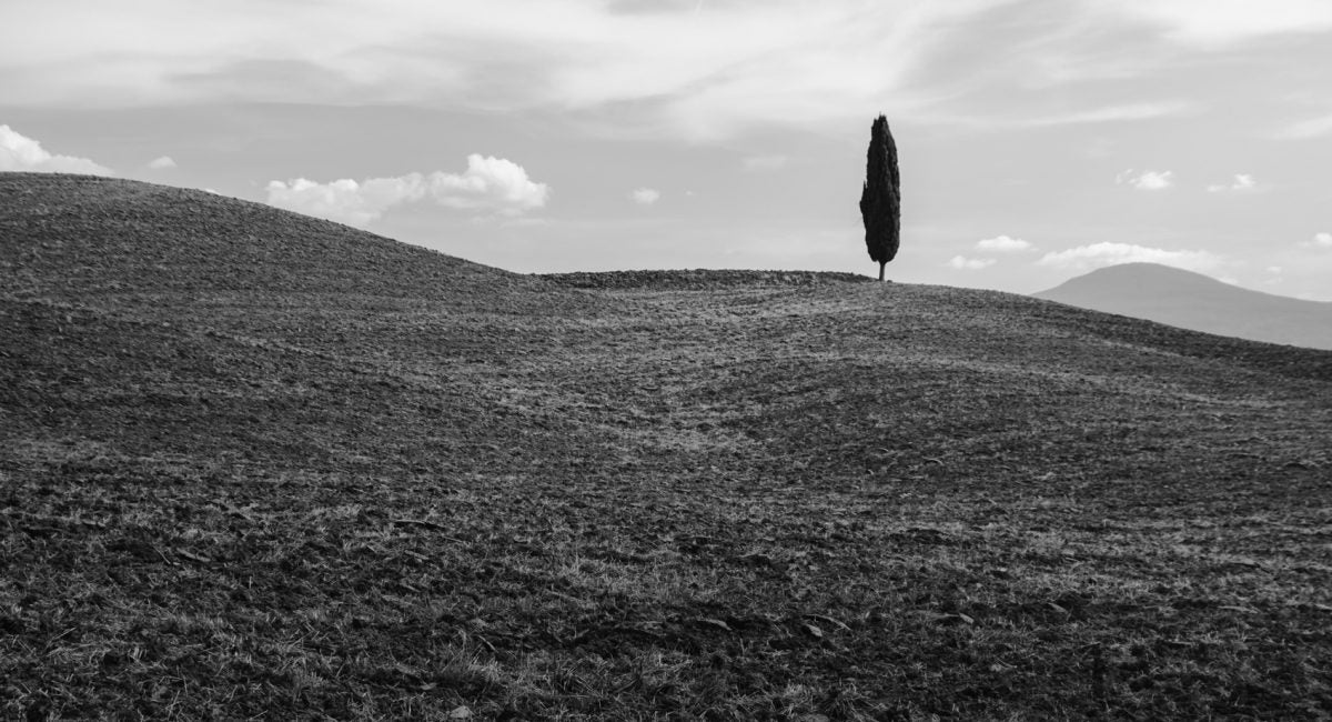 Vivere soli non significa essere da soli, specialmente in tempi di quarantena