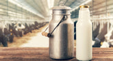 Latte vaccino: quali sono i maggiori rischi di un elevato consumo