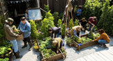 Abitare: smart cities, rigenerazione urbana e molto altro