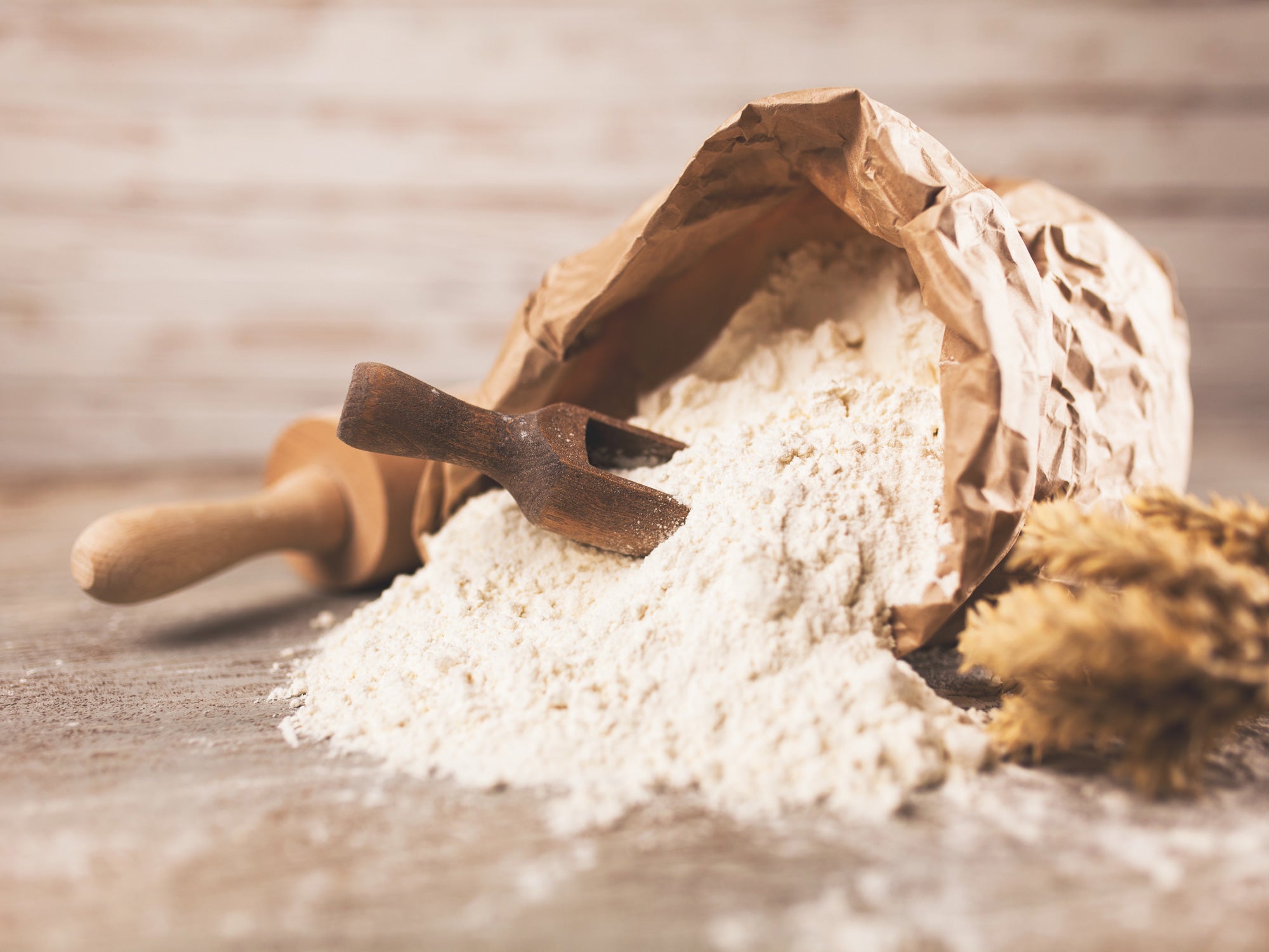 I tipi di farina, le differenze e le caratteristiche: quale scegliere?