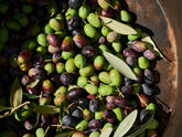 Olio extra vergine di oliva un vero e proprio elisir di salute