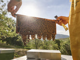 Il nomadismo delle api:  una pratica antica e attuale