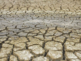 La desertificazione del suolo: cos’è, quali sono le cause e le conseguenze?