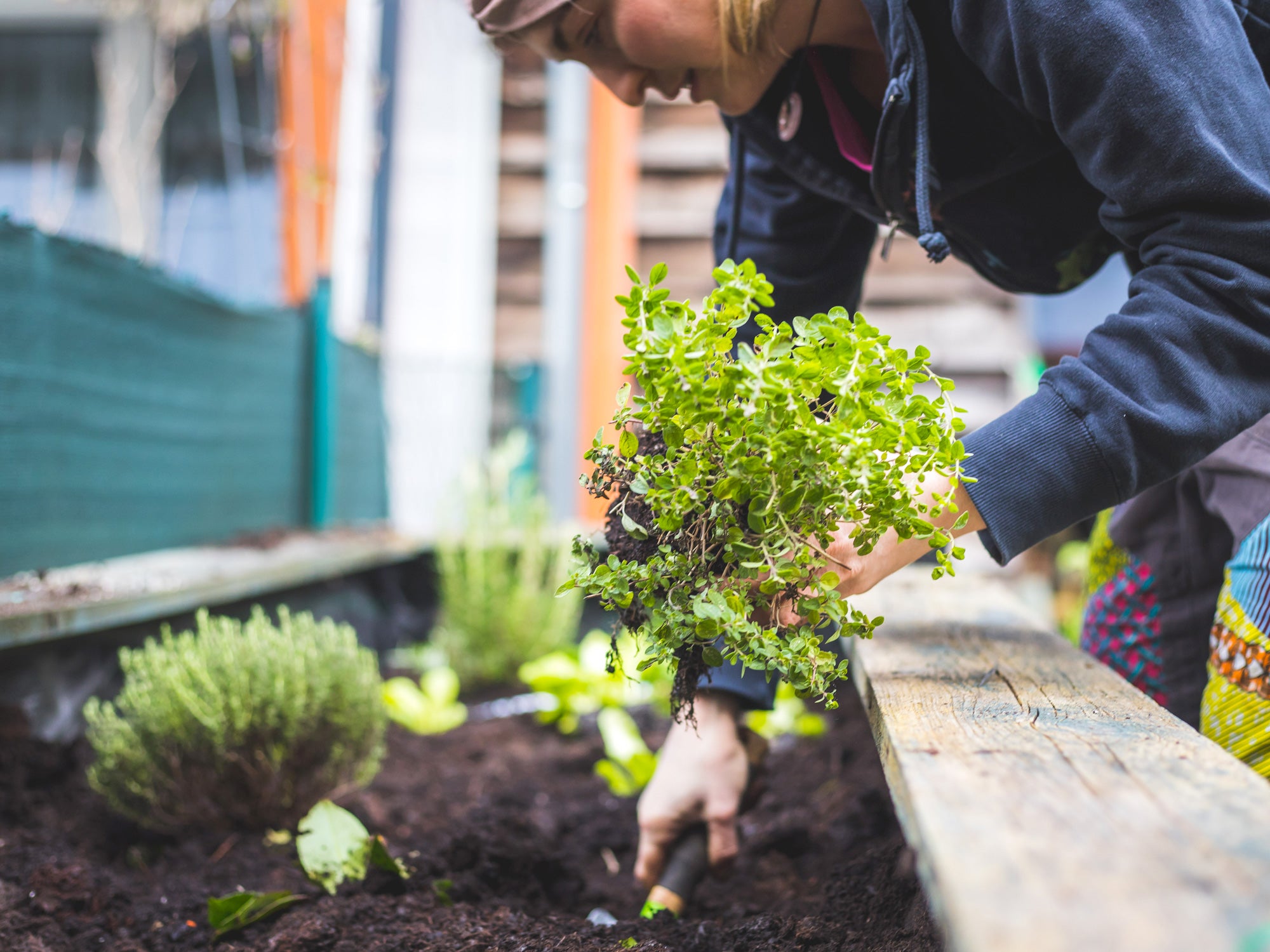 Siamo Ecosistemici e non Egosistemici: 10 idee creative per sentirsi bio