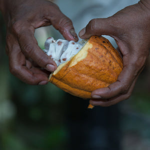 Frollini al cacao con fave di cacao biologici