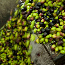 Carica l&#39;immagine nel visualizzatore di Gallery, Olio extravergine di oliva biologico
